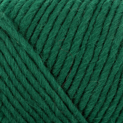 Brown Sheep Lamb's Pride Bulky Yarn - M165 - Christmas Green at Jimmy Beans  Wool