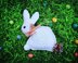 Easter Bunny Ragdoll
