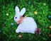 Easter Bunny Ragdoll