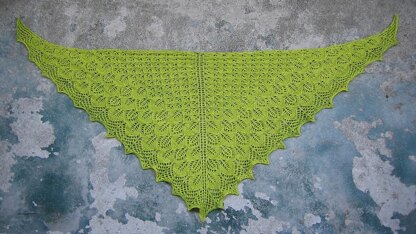 Tin Can Knits Photosynthesis Shawl PDF