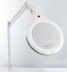 Daylight Studios D22080 - Ultra Slim Magnifying Lamp XR