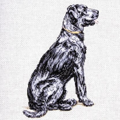 Creative World of Crafts Cecil Aldin Man's Best Friend Cross Stitch Kit - Rex - D