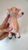 3 in 1 Pig Keychain Amigurumi