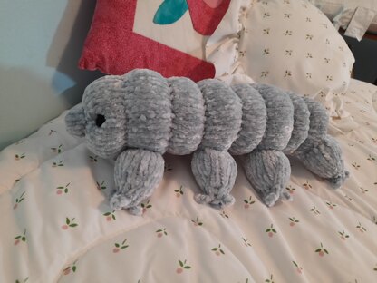 Cuddly tardigrade