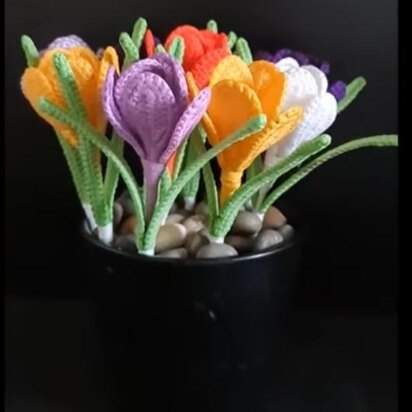 Crochet Crocus flowers