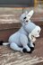 Donkey knitting pattern. Knitted donkey friend Shrek