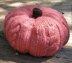 The Great Cabled Pumpkin