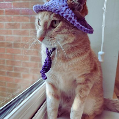 Summer Purple Cat hat