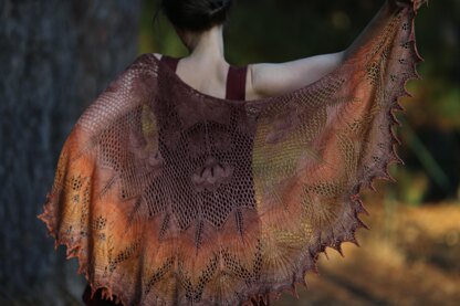 Windflower