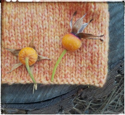 Autumn Rose beanie