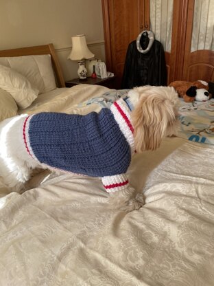 Sock monkey dog sweater