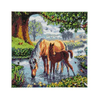 Crystal Art Diamond Painting Canvas Kit - Colored horse - 30 x 30 cm