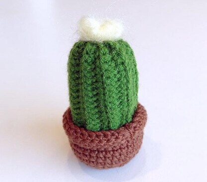 Cactus in a pot crochet , Cactus Amigurumi,