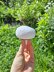 Champignon mushroom crochet pattern