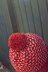 Maraschino Cherry Hat