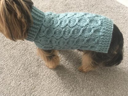 Ocean Wave cabled dog sweater