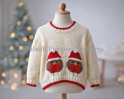 Christmas Robins Jumper P13