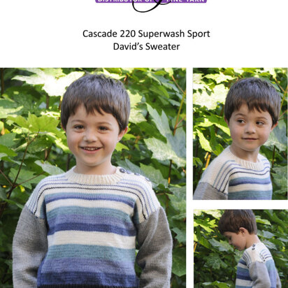 David's Sweater in Cascade 220 Superwash Sport - DK226