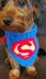 Super Pet Costume