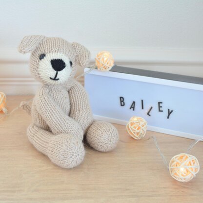 Bailey Dog