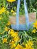 Beach Basket
