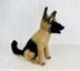 German Shepherd Dog