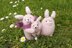 Pink Bunny Family