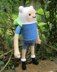 Finn the Human