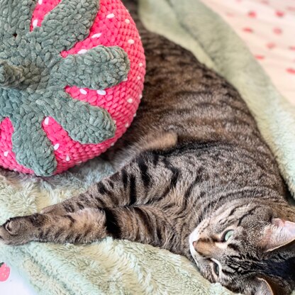 Crochet Strawberry Pillow