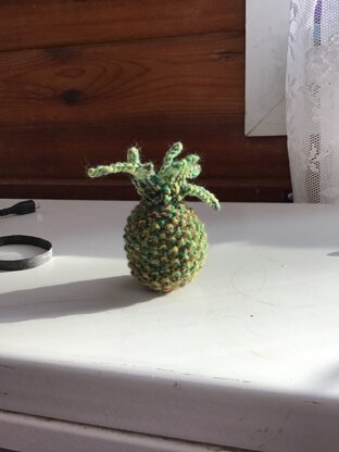 Little Pineapple