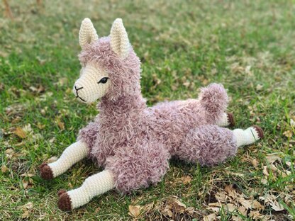 Lounging Llama