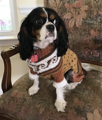 Stylin' Rescue Pup Sweater