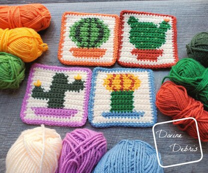 Cactus Coasters Quartet