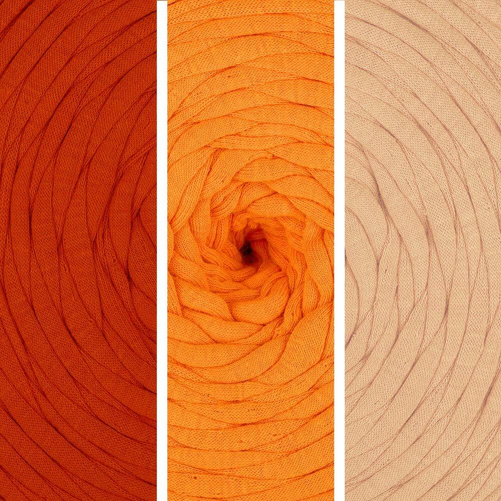 Bold Orange Shades (016)