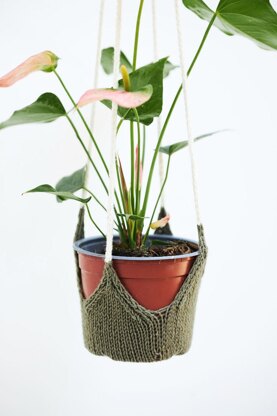 Perennial Plant Hanger