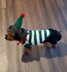 Elf Dog Sweater