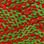 Holly (4592)