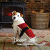 Santa Dog Coat - Knitting Pattern for Christmas in Debbie Bliss Rialto Aran