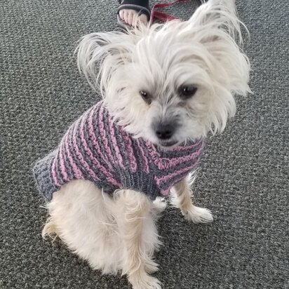 Snazzy Stripes Dog Sweater - XS,S, M - knitting pattern