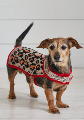 Leopard Pooch - Dog Coat Knitting Pattern For Pets in Debbie Bliss Rialto Aran by Debbie Bliss