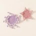 Crab Coaster - Easiest Crochet Patterns - Crochet Patterns for Beginners