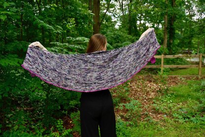 Carrick Bend Shawl