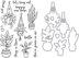 Hero Arts Clear Stamp & Die Combo - Hang In There Potted Plants