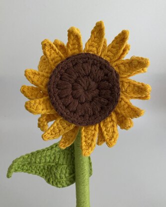 Sunflower - The Flower Series