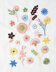 Wool and the Gang Wildflowers Embroidery Kit