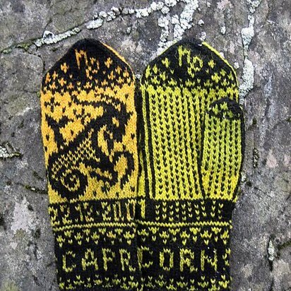 Capricorn - knitting pattern