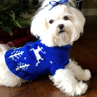Winter Wonderland dog sweater