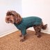 Cozy Canine Rib-Knit