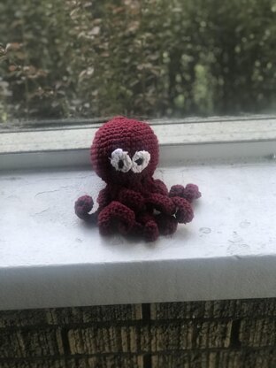 Xavier the Octopus