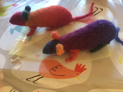 Rats for my granddaughter